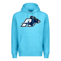 Ocean Blue akron university zips Premium Hoodie - linhVisuals