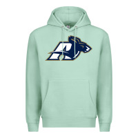 Seafoam akron university zips Premium Hoodie - linhVisuals