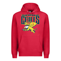 Cardinal canisius golden griffins college Premium Hoodie - linhVisuals
