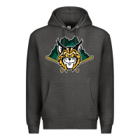 Charcoal Heather lynchburg hillcats Baseball Premium Hoodie - linhVisuals