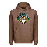 Chestnut lynchburg hillcats Baseball Premium Hoodie - linhVisuals