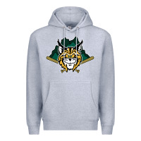 Heather Grey lynchburg hillcats Baseball Premium Hoodie - linhVisuals