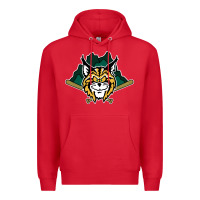 Red lynchburg hillcats Baseball Premium Hoodie - linhVisuals
