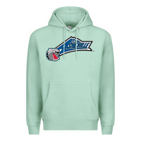 Seafoam unc asheville bulldogs Premium Hoodie - linhVisuals