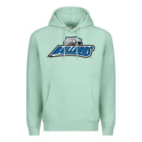 Seafoam unc asheville bulldogs Premium Hoodie - linhVisuals