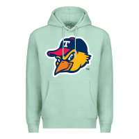 Seafoam suitable-toledo-mud-hens-worn Premium Hoodie - linhVisuals