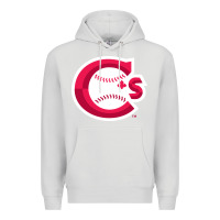 Dove Grey suitable-vancouver-canadians-worn Premium Hoodie - linhVisuals