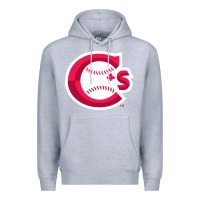Heather Grey suitable-vancouver-canadians-worn Premium Hoodie - linhVisuals