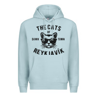 Blue Mist cats of downtown reykjavik t shirt Premium Hoodie - linhVisuals