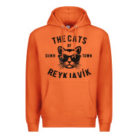 Carrot cats of downtown reykjavik t shirt Premium Hoodie - linhVisuals