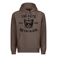 Coffee cats of downtown reykjavik t shirt Premium Hoodie - linhVisuals