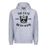 Heather Grey cats of downtown reykjavik t shirt Premium Hoodie - linhVisuals