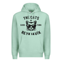 Seafoam cats of downtown reykjavik t shirt Premium Hoodie - linhVisuals