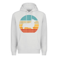 Dove Grey corgi retro vintage 60s 70s sunset dog lovers men women t shirt Premium Hoodie - linhVisuals