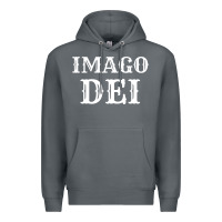 Rock imago dei image of god christian t shirt reformed jesus Premium Hoodie - linhVisuals