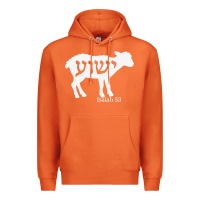 Carrot isaiah 53 lamb yeshua jesus t shirt Premium Hoodie - linhVisuals