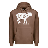 Isaiah 53 Lamb Yeshua Jesus T Shirt Premium Hoodie | Teevron