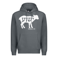 Rock isaiah 53 lamb yeshua jesus t shirt Premium Hoodie - linhVisuals