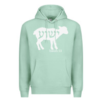 Seafoam isaiah 53 lamb yeshua jesus t shirt Premium Hoodie - linhVisuals