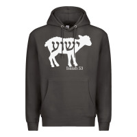Smoke isaiah 53 lamb yeshua jesus t shirt Premium Hoodie - linhVisuals