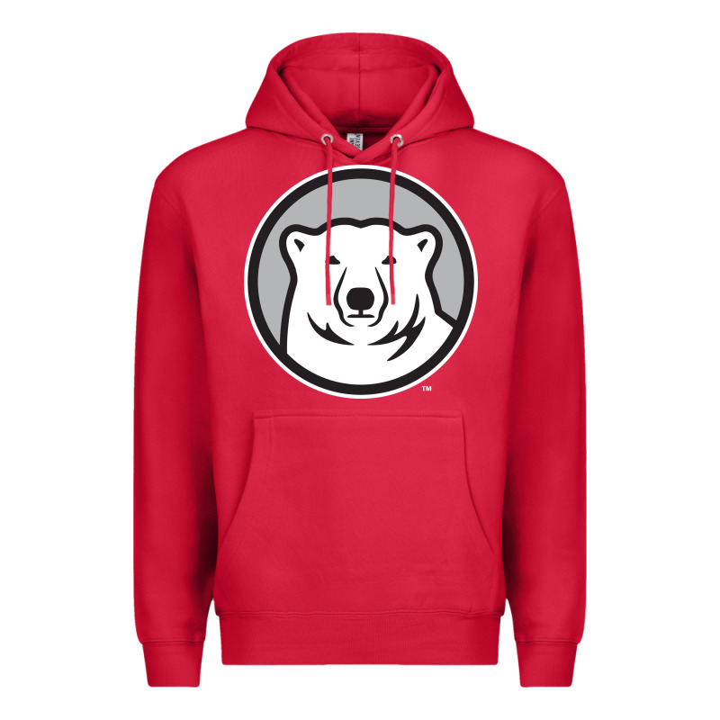 Bowdoin College Premium Hoodie by linhVisuals | Teevron