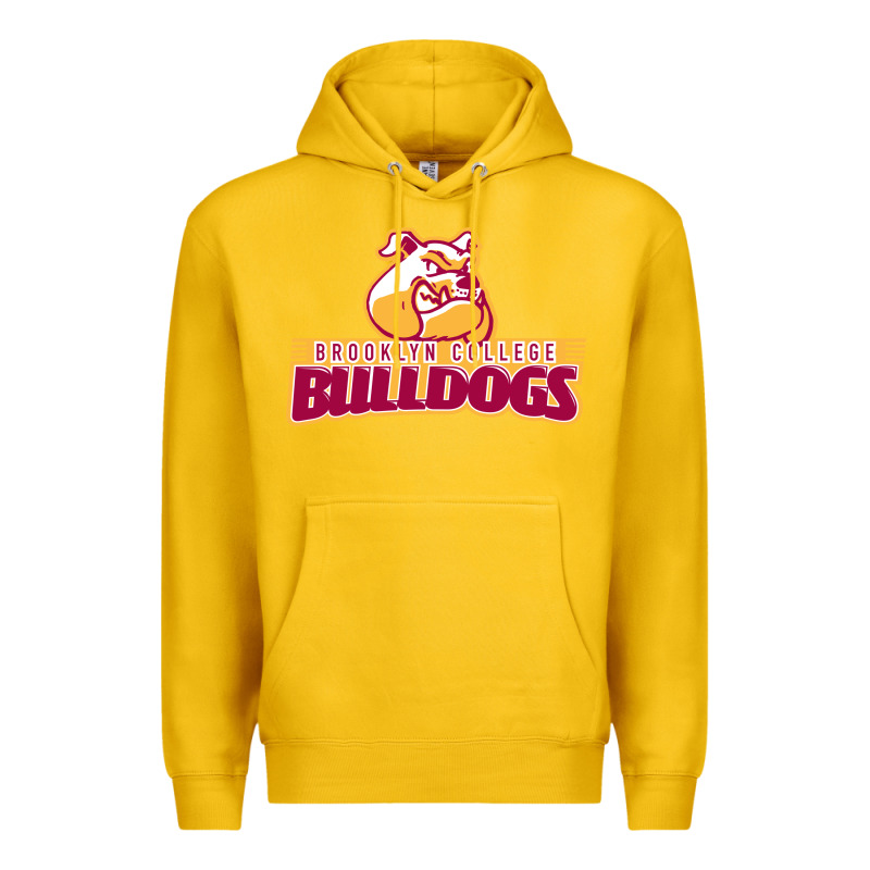 Brooklyn College Premium Hoodie by linhVisuals | Teevron