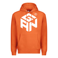 Carrot Gancube Premium Hoodie - linhVisuals