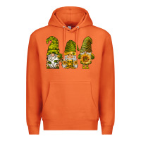 Carrot sunflower gnomies Premium Hoodie - BarkalooDesign