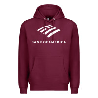 Financial Services Company America Premium Hoodie | Teevron