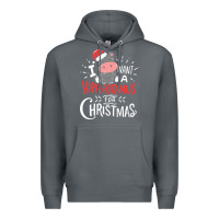 Rock i want hippopotamus for christmas hippo xmas gift Premium Hoodie - linhVisuals
