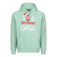 Seafoam i want hippopotamus for christmas hippo xmas gift Premium Hoodie - linhVisuals
