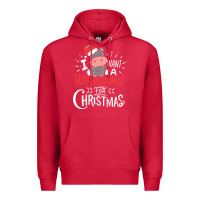 Cardinal i want hippopotamus for christmas hippo xmas gift Premium Hoodie - linhVisuals