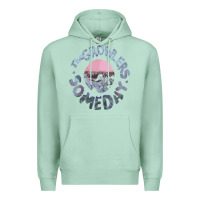 Seafoam the growlers Premium Hoodie - linhVisuals