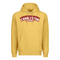 Antique Gold charleston cougars Premium Hoodie - linhVisuals