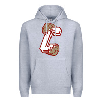 Heather Grey charleston cougars Premium Hoodie - linhVisuals