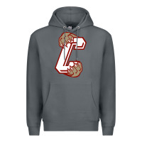 Rock charleston cougars Premium Hoodie - linhVisuals