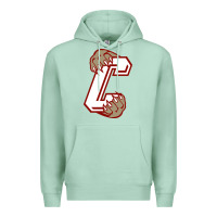 Seafoam charleston cougars Premium Hoodie - linhVisuals