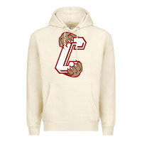 Tofu charleston cougars Premium Hoodie - linhVisuals