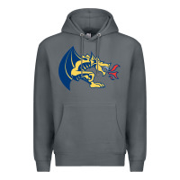 Rock drexel dragons Premium Hoodie - linhVisuals