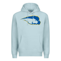 Blue Mist hofstra pride Premium Hoodie - linhVisuals