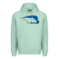 Seafoam hofstra pride Premium Hoodie - linhVisuals