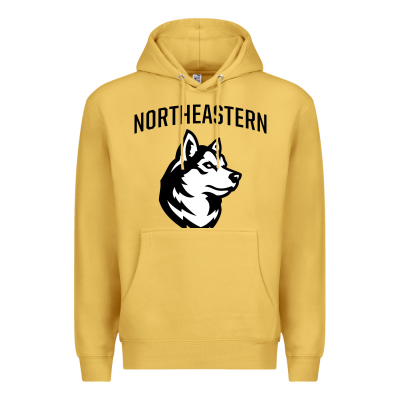 Northeastern Huskies Premium Hoodie by linhVisuals | Teevron