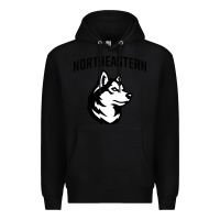 Black northeastern huskies Premium Hoodie - linhVisuals