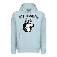 Blue Mist northeastern huskies Premium Hoodie - linhVisuals