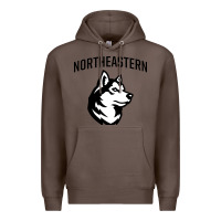 Coffee northeastern huskies Premium Hoodie - linhVisuals