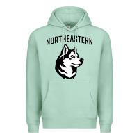 Seafoam northeastern huskies Premium Hoodie - linhVisuals