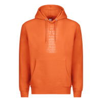 Carrot don't blink   doctor who Premium Hoodie - linhVisuals