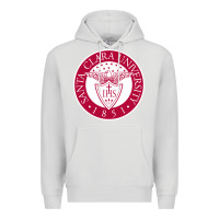 Dove Grey santa clara u seal Premium Hoodie - linhVisuals