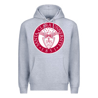 Heather Grey santa clara u seal Premium Hoodie - linhVisuals