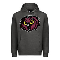 Charcoal Heather temple owls Premium Hoodie - linhVisuals
